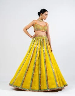 Moss Green Mirror Seam Lehenga Set -Africans Shop vasslh23103