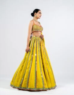 Moss Green Mirror Seam Lehenga Set -Africans Shop vasslh23105