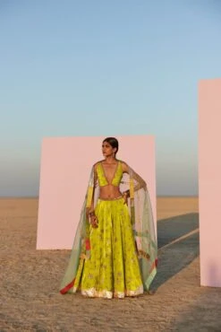 Bright Lime Printed Silk Velvet Lehenga Set 7 Bright Lime Printed Silk Velvet Lehenga Set -Africans Shop we108 1