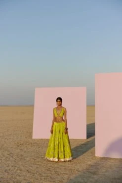 Bright Lime Printed Silk Velvet Lehenga Set 8 Bright Lime Printed Silk Velvet Lehenga Set -Africans Shop we108 2