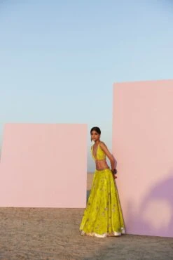 Bright Lime Printed Silk Velvet Lehenga Set 9 Bright Lime Printed Silk Velvet Lehenga Set -Africans Shop we108 3